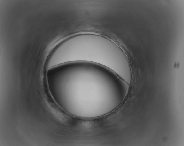 X0000093400344200710120900