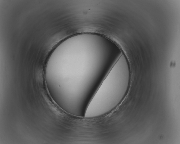 X0000093400345200710120900