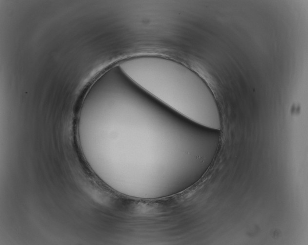 X0000093400346200710120900