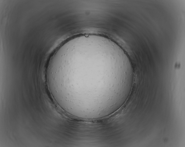 X0000093400347200710120900