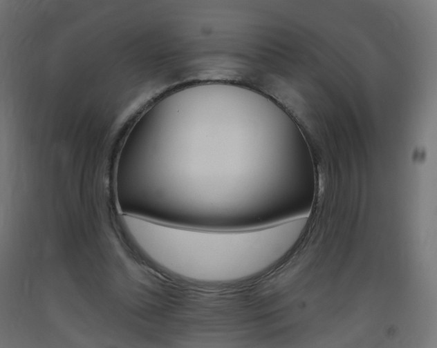 X0000093400348200710120900