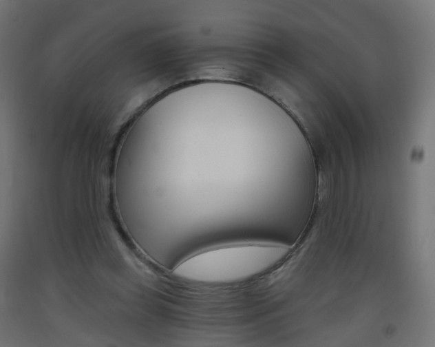 X0000093400349200710120900