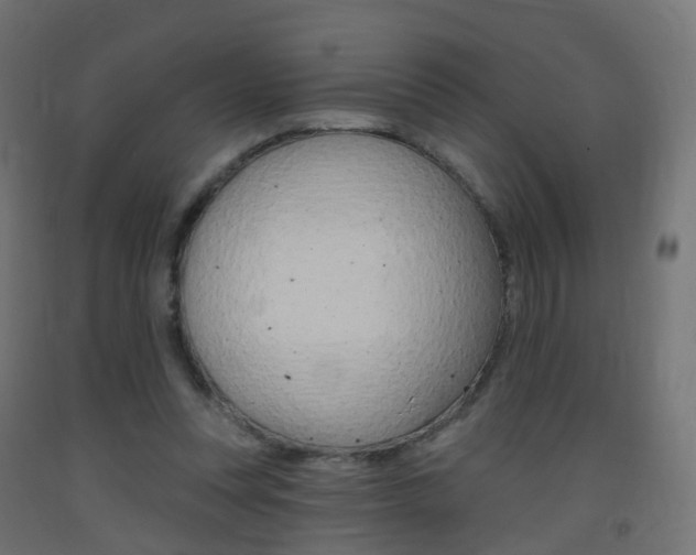 X0000093400351200710120900