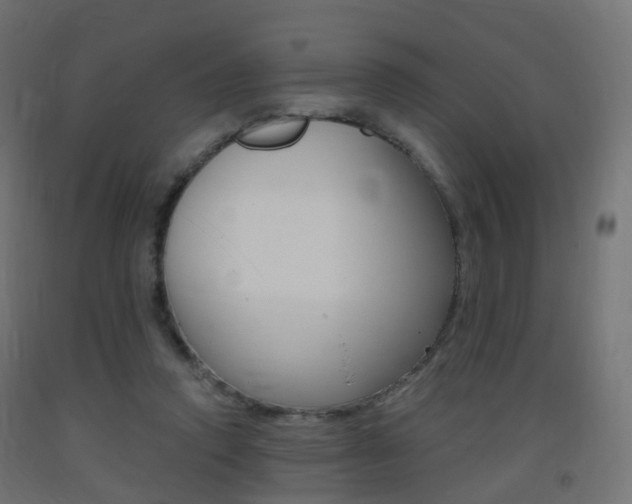 X0000093400354200710120900