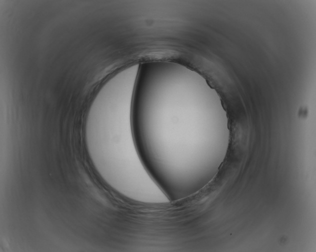 X0000093400356200710120900
