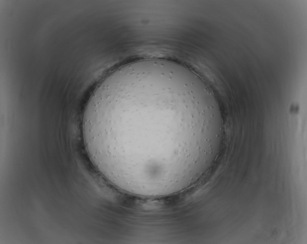 X0000093400359200710120900