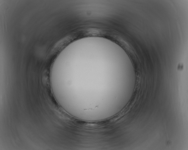 X0000093400361200710120900