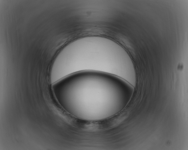 X0000093400362200710120900