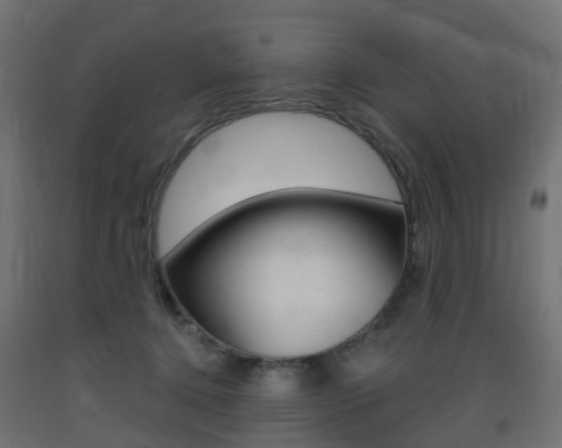 X0000093400368200710120900