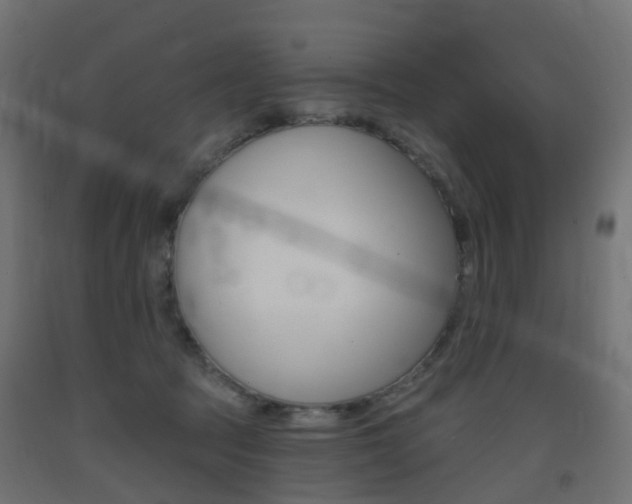 X0000093400369200710120900