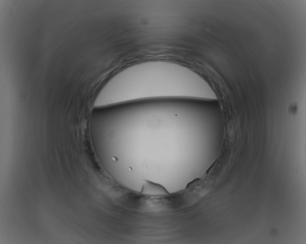 X0000093400372200710120900