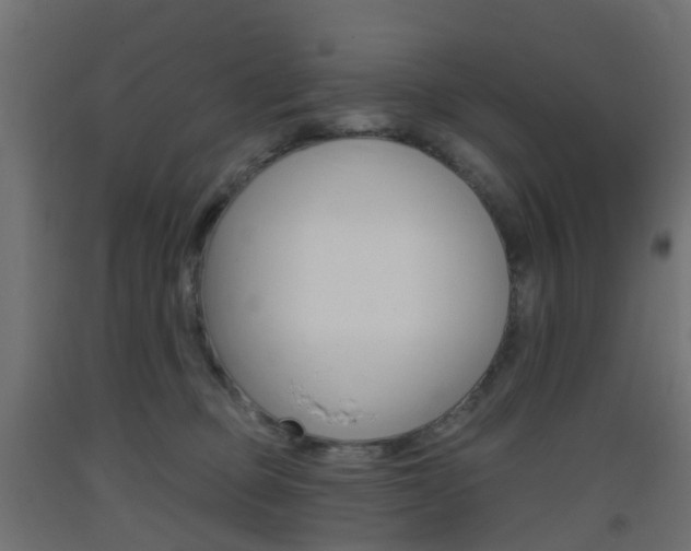 X0000093400373200710120900