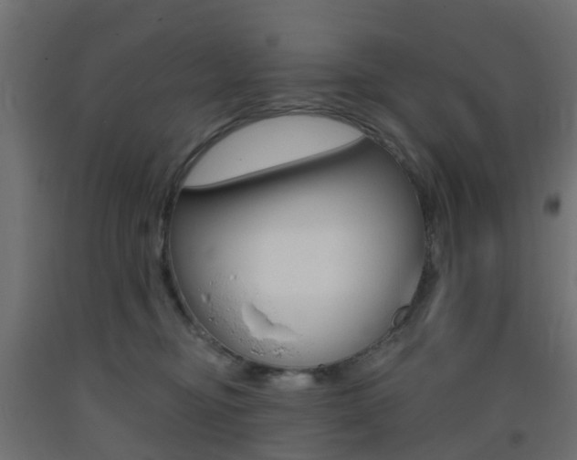 X0000093400374200710120900