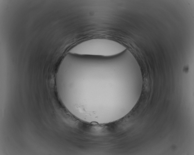 X0000093400375200710120900