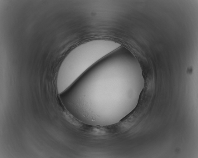 X0000093400376200710120900