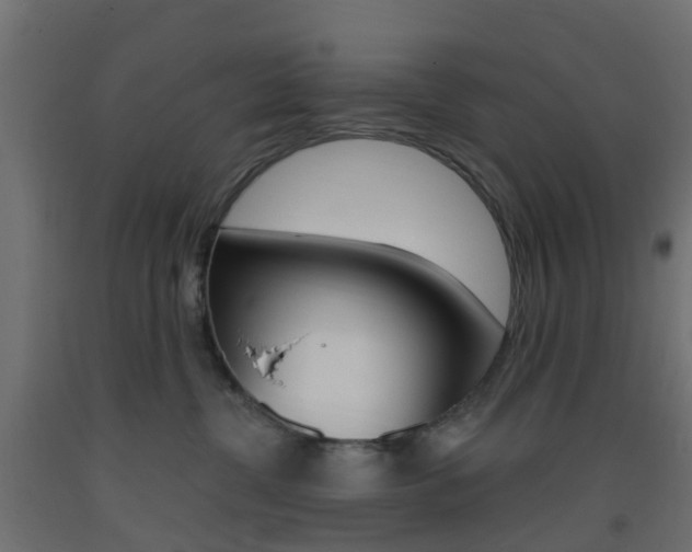 X0000093400380200710120901