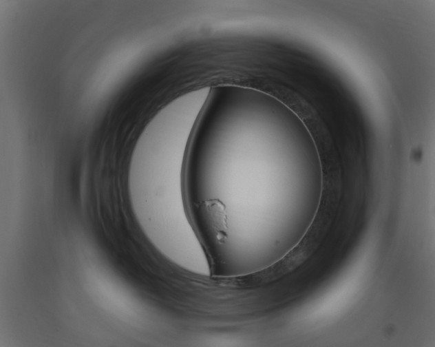 X0000093400382200710120901