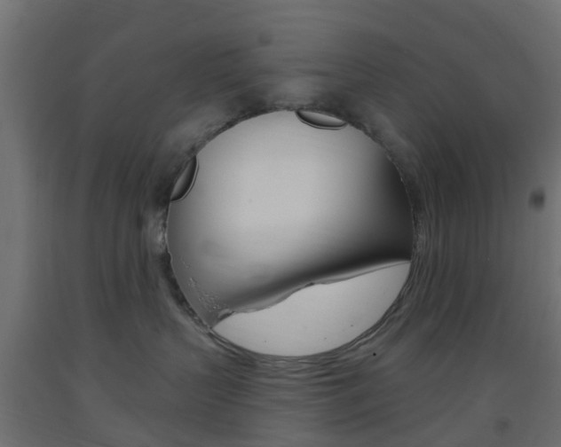 X0000093400383200710120901