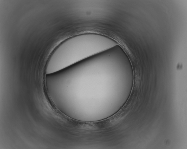 X0000093400386200710120900