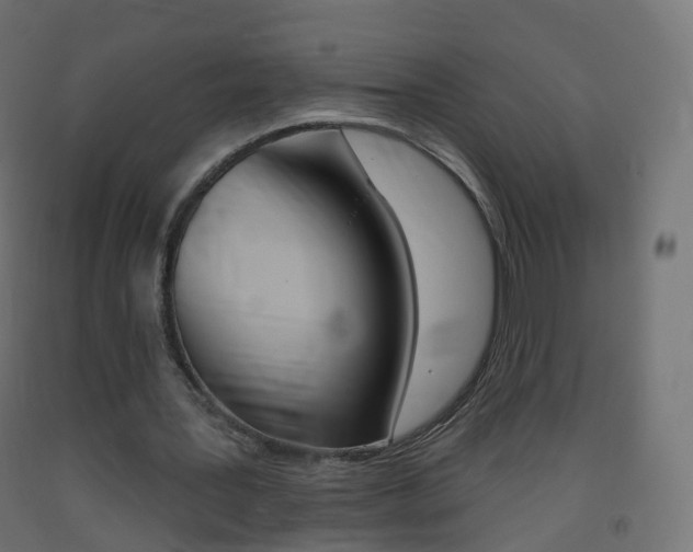 X0000093400387200710120900