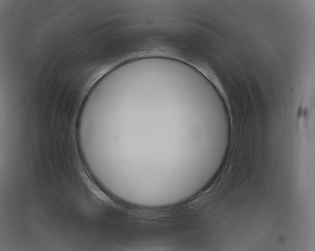 X0000093400389200710120900