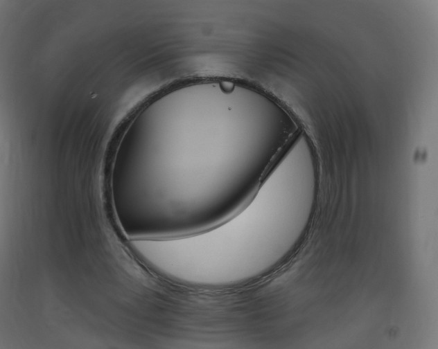 X0000093400391200710120900