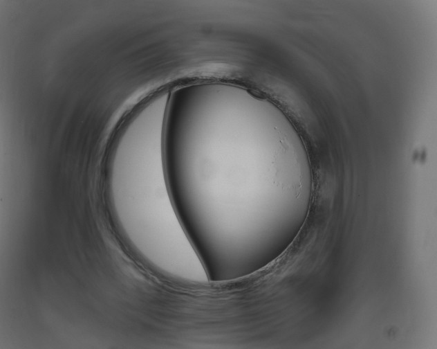 X0000093400392200710120900