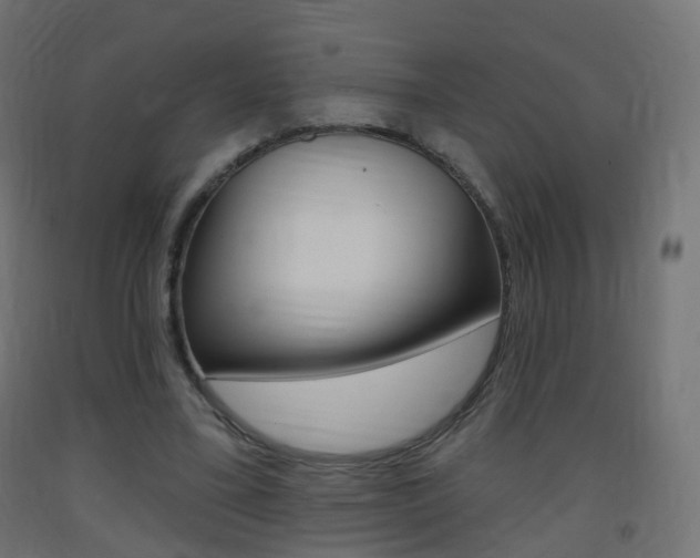 X0000093400395200710120900
