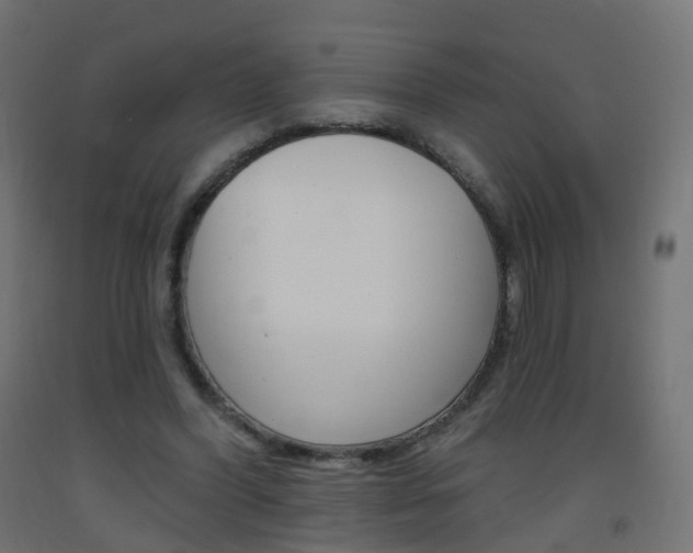 X0000093400396200710120900