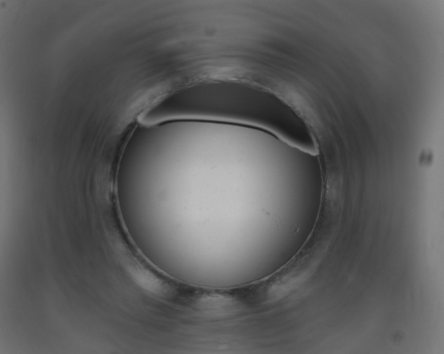 X0000093400397200710120900