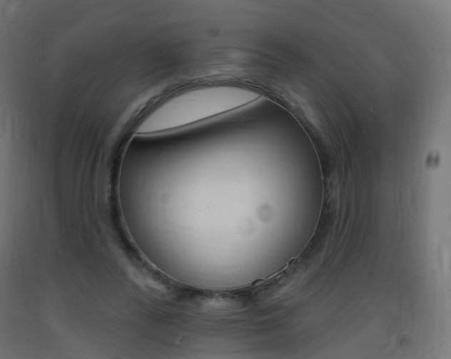 X0000093400400200710120900