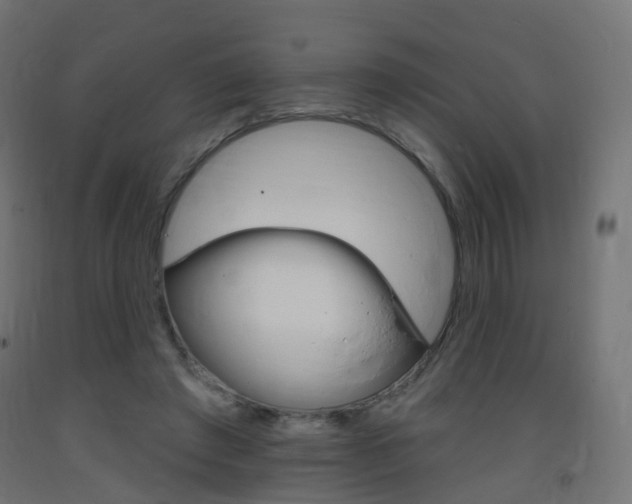 X0000093400401200710120900