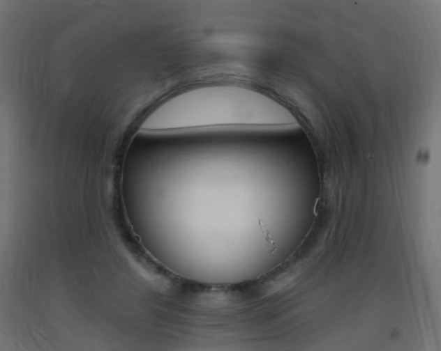 X0000093400404200710120900