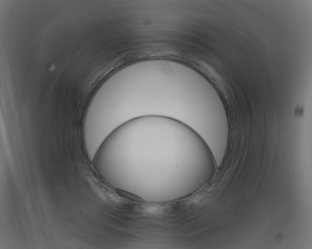 X0000093400405200710120900