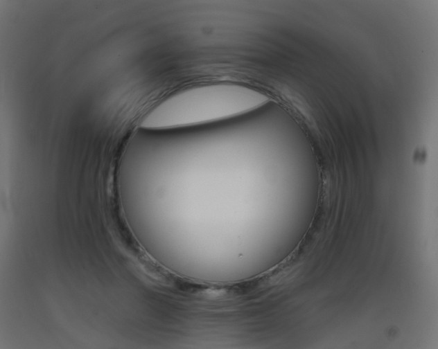 X0000093400406200710120900