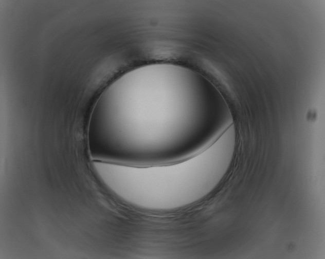 X0000093400407200710120900