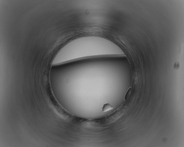 X0000093400408200710120900