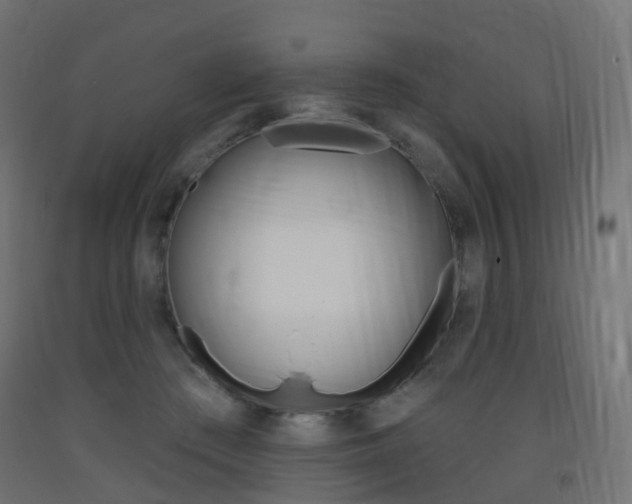X0000093400409200710120900