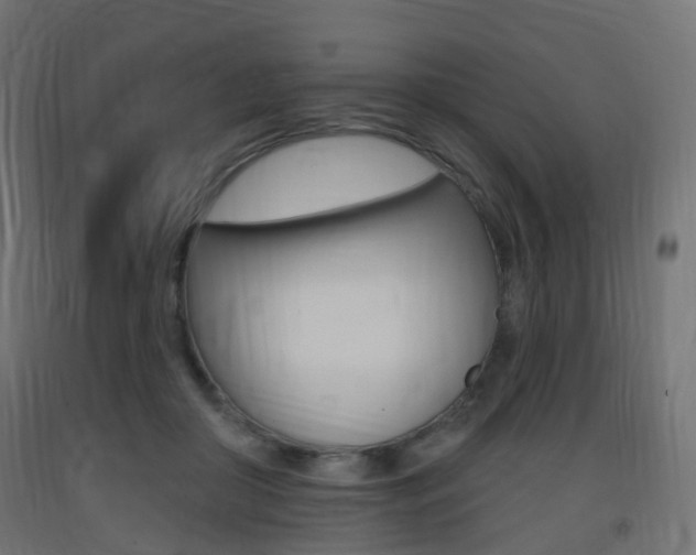 X0000093400410200710120900