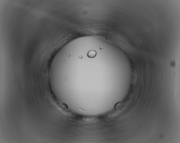 X0000093400414200710120900