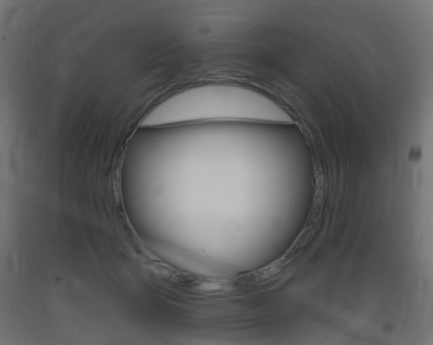 X0000093400415200710120900
