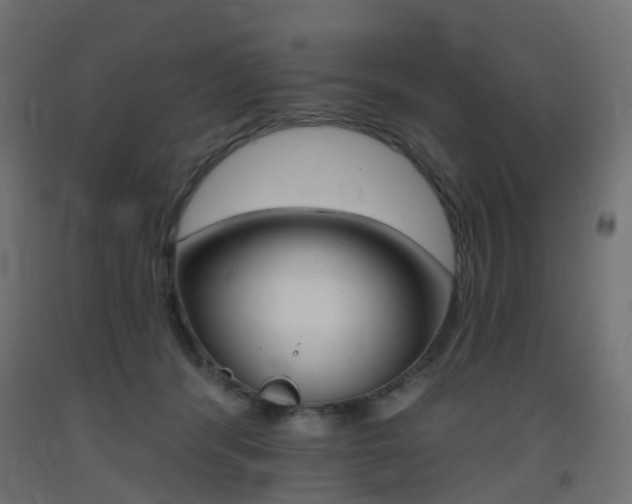 X0000093400416200710120900