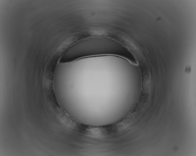 X0000093400417200710120900