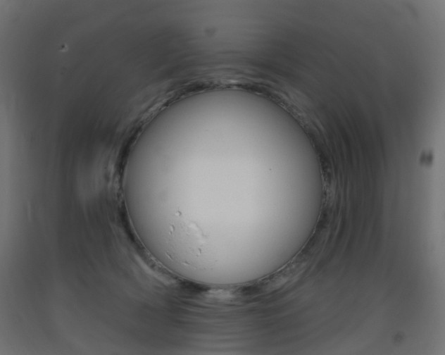 X0000093400418200710120900