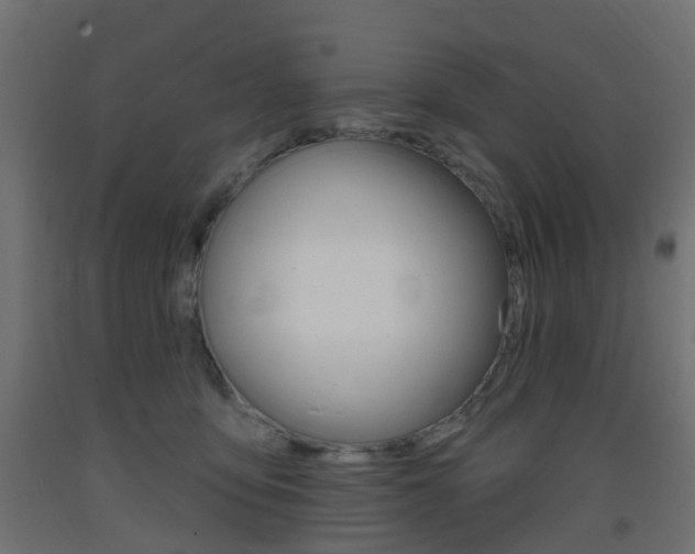 X0000093400419200710120900