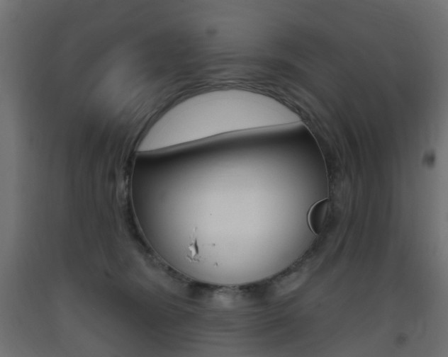 X0000093400420200710120900