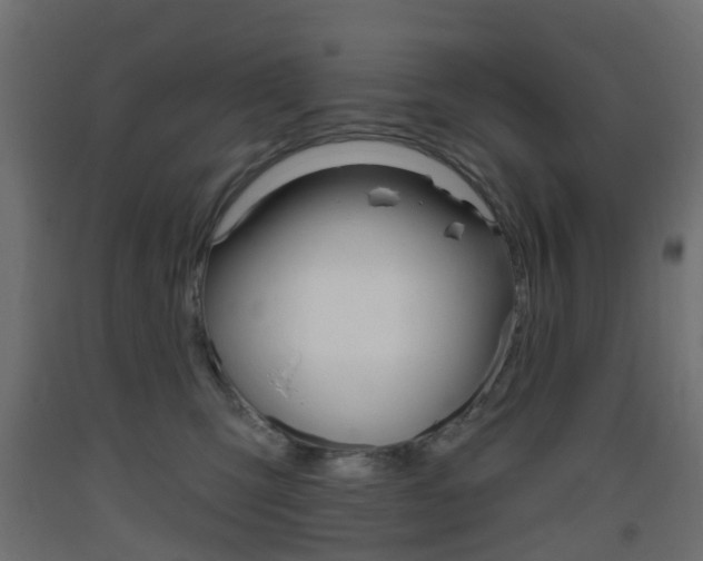 X0000093400423200710120859