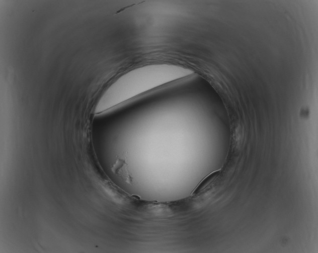 X0000093400424200710120859