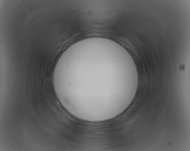 X0000093400425200710120859