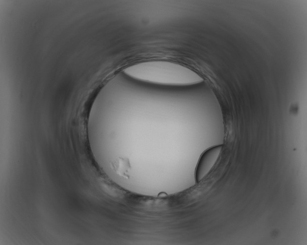 X0000093400426200710120859